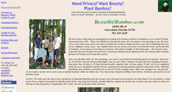 Desktop Screenshot of beautifulbamboo.com
